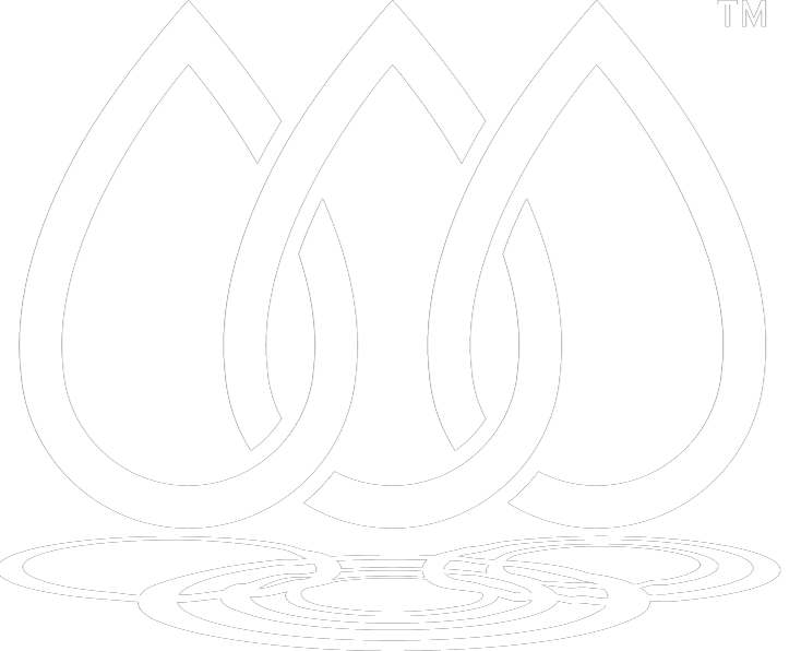 Alliance for Water Stewardship